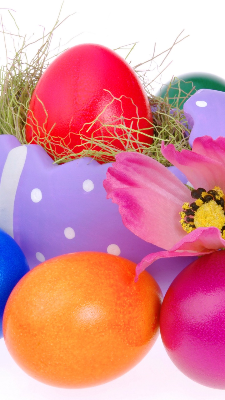 Colorful Easter Eggs And Decoration