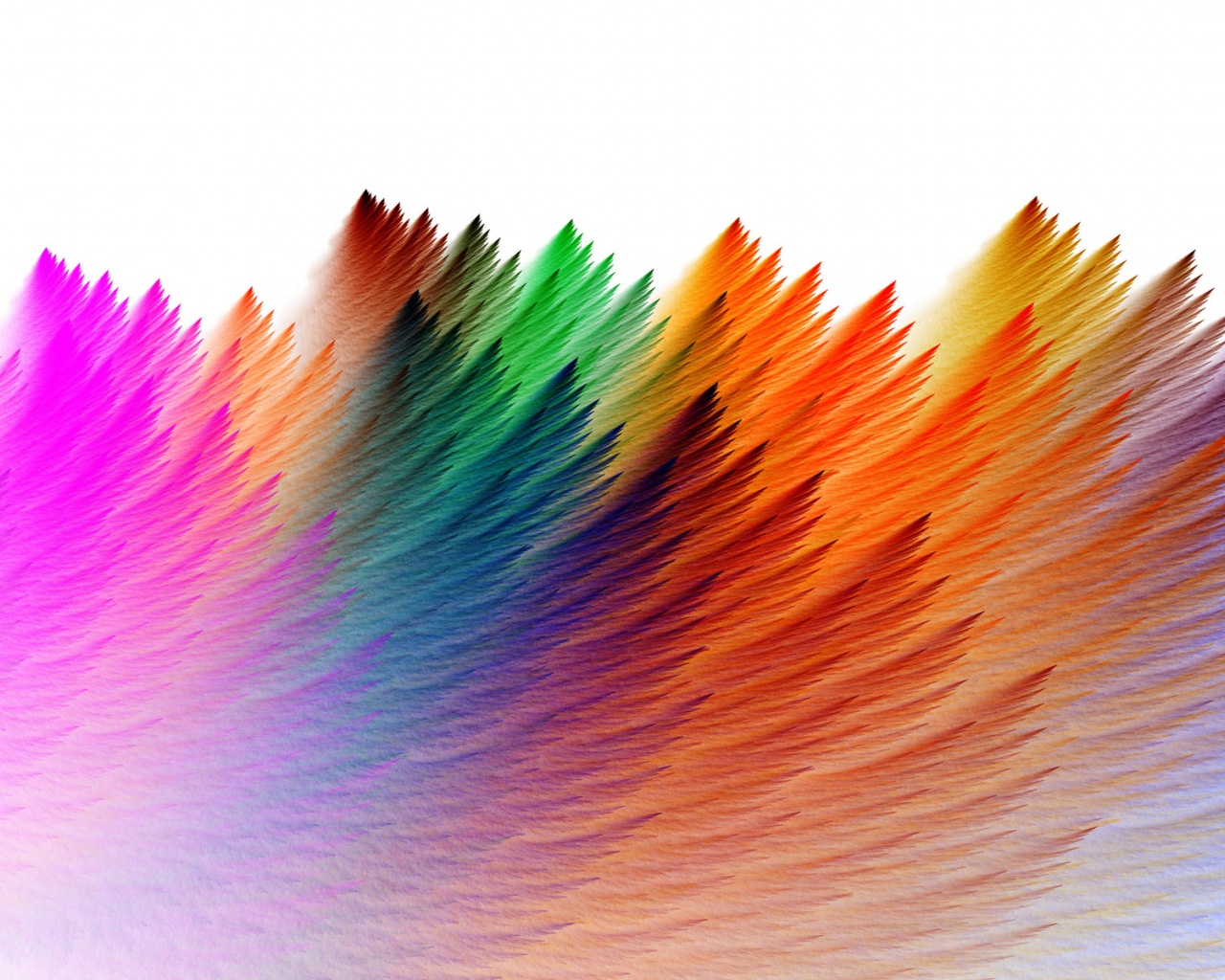 Colorful Feathers Abstract