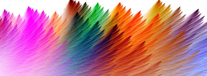 Colorful Feathers Abstract