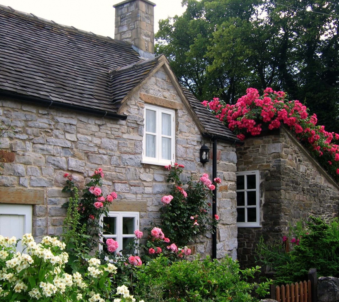 Cottage With Roses Village Of Thorpe Tissington Trail Derbyshire