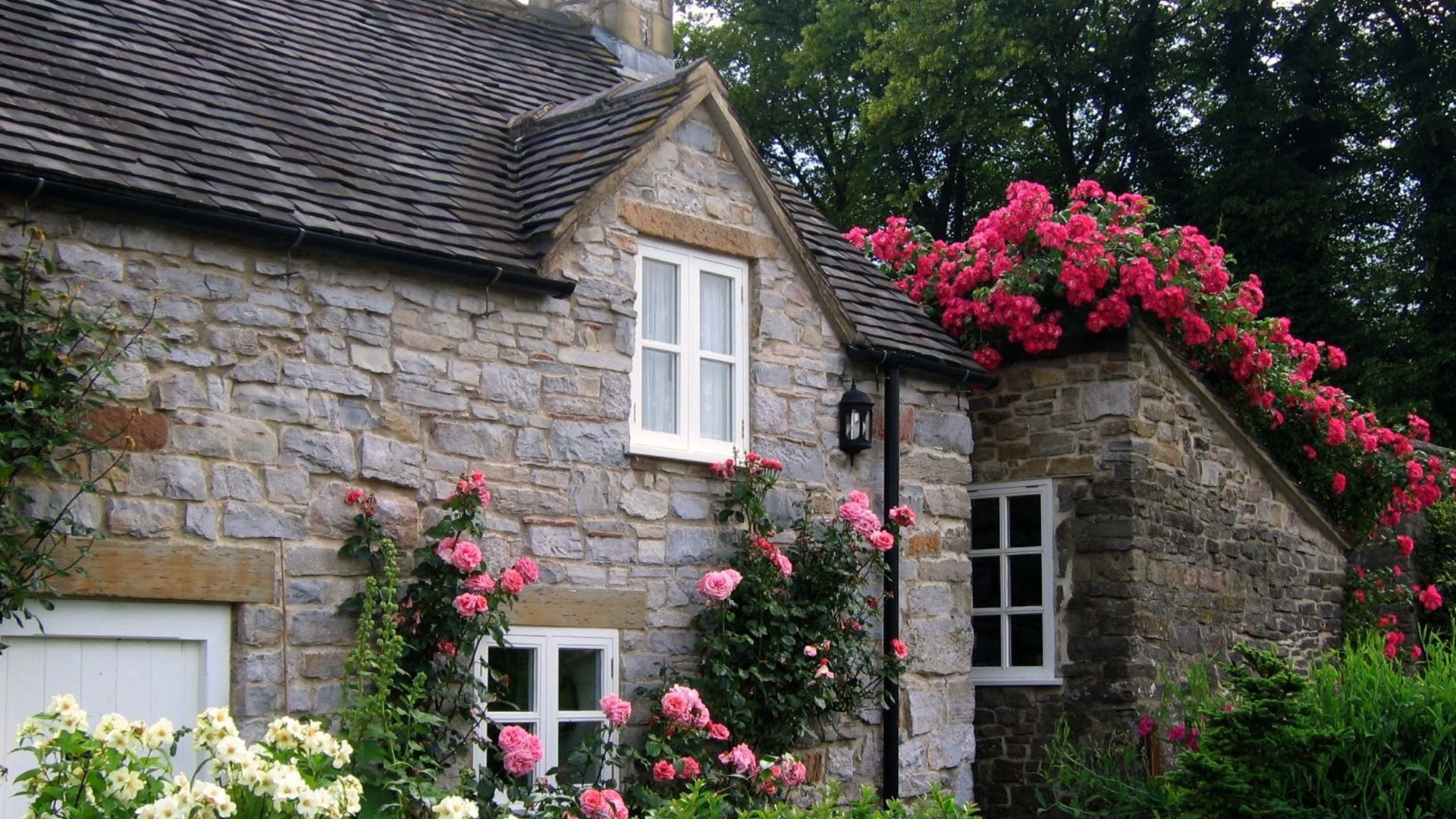 Cottage With Roses Village Of Thorpe Tissington Trail Derbyshire