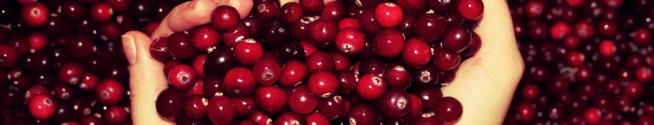 Cranberries Valentines Day