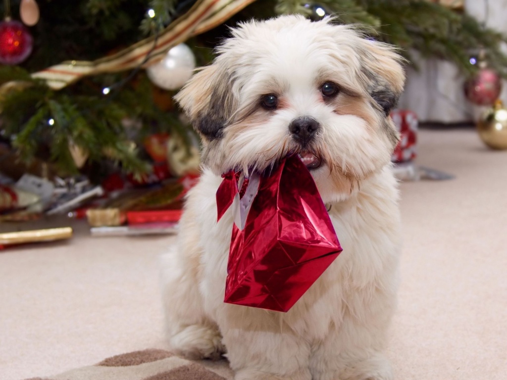 Cute Puppy With Present Gifts Christmas Tree