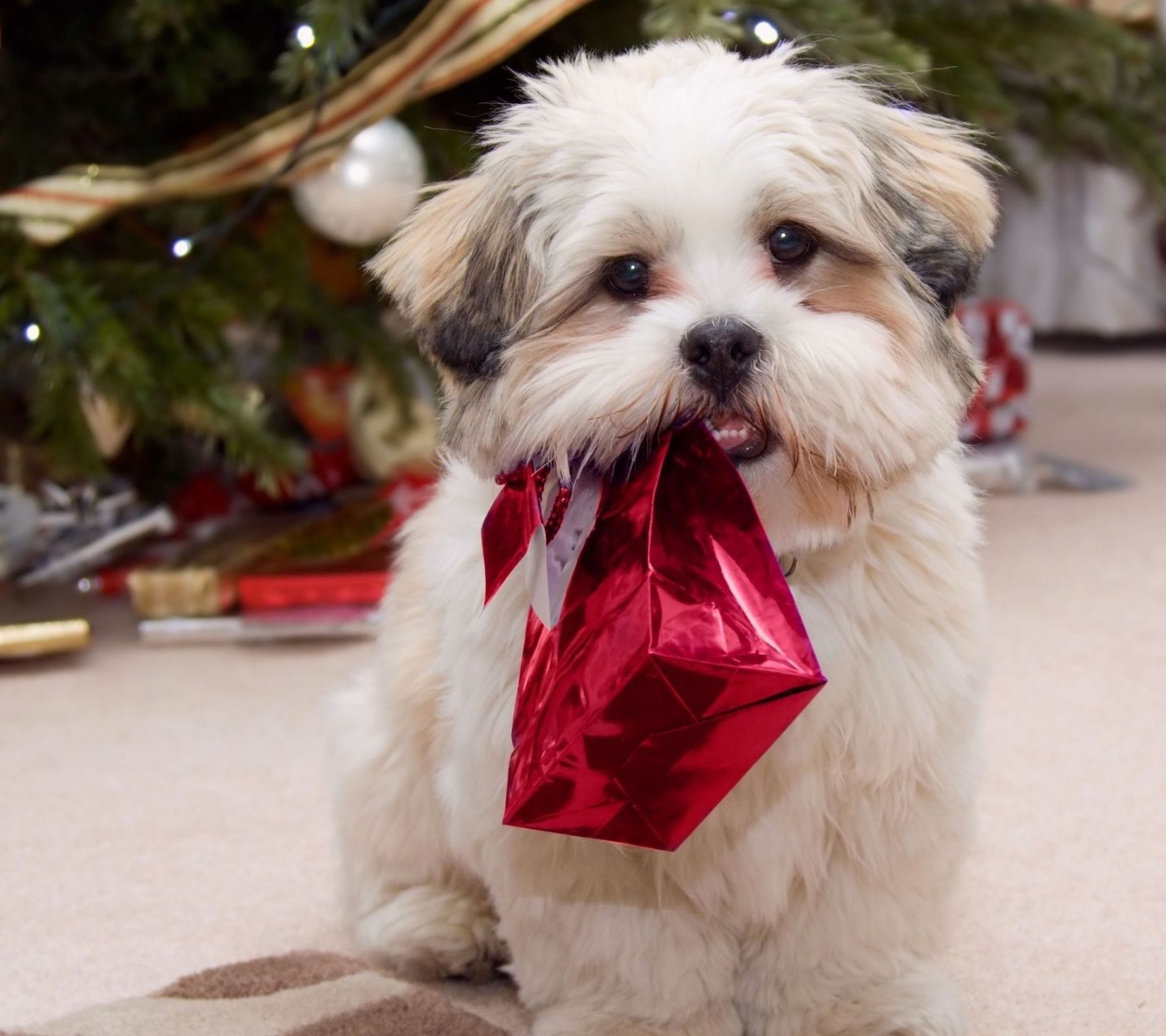 Cute Puppy With Present Gifts Christmas Tree