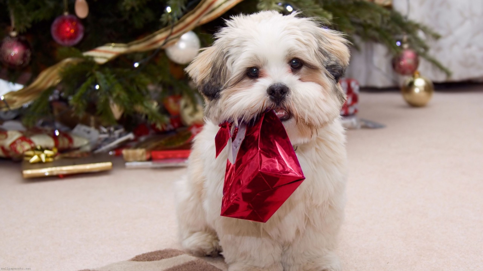 Cute Puppy With Present Gifts Christmas Tree