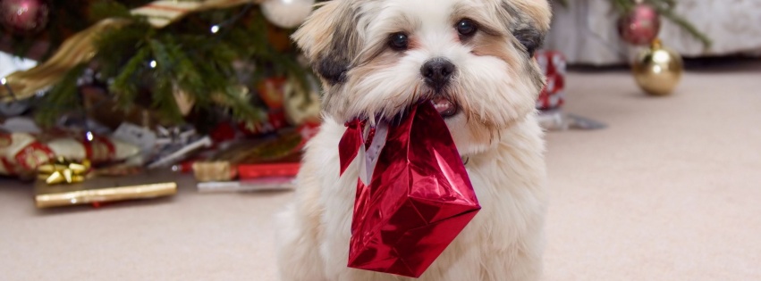 Cute Puppy With Present Gifts Christmas Tree