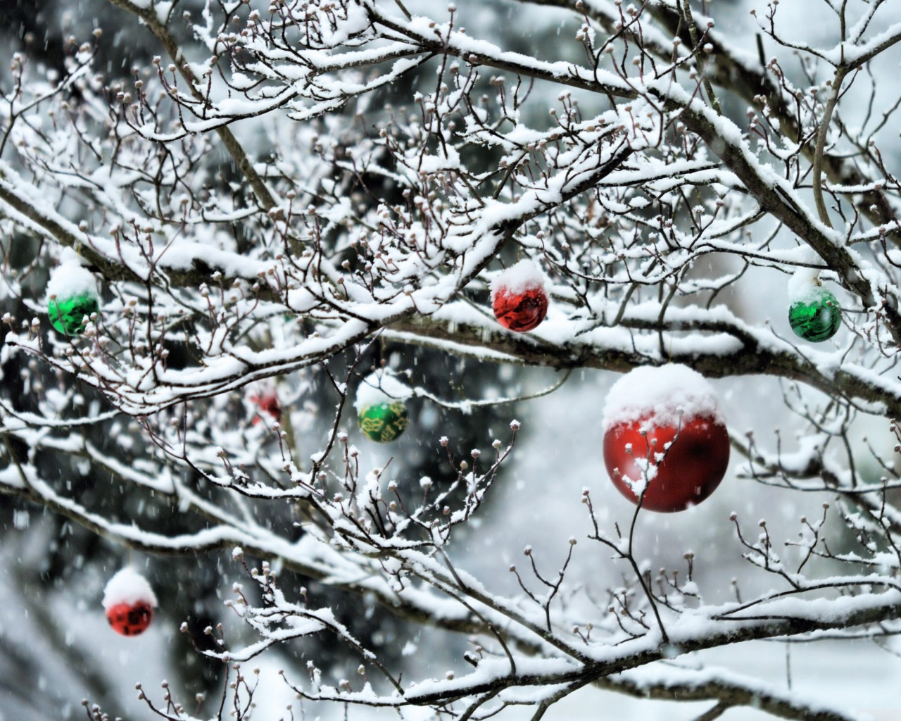 Decorated Tree Branches