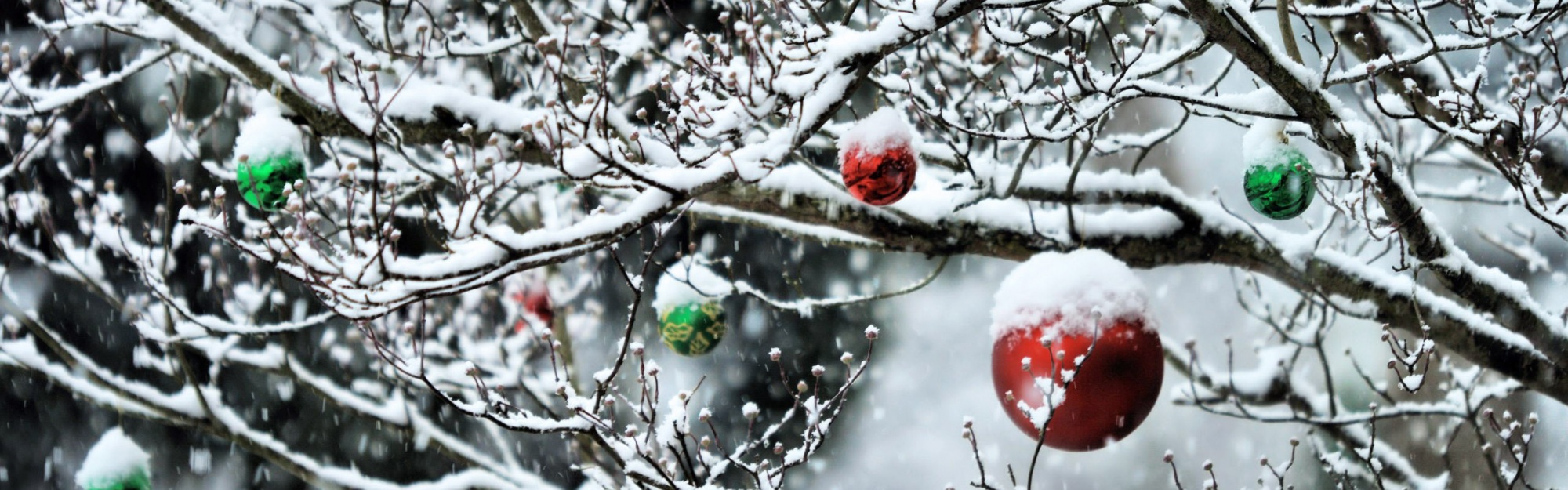 Decorated Tree Branches