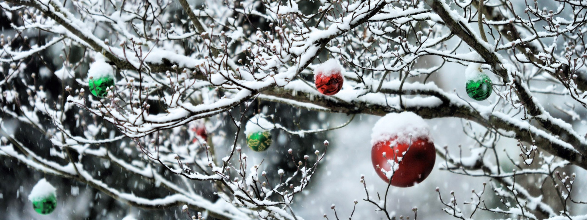 Decorated Tree Branches