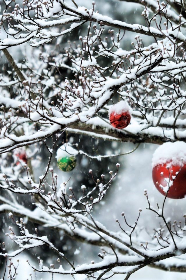 Decorated Tree Branches