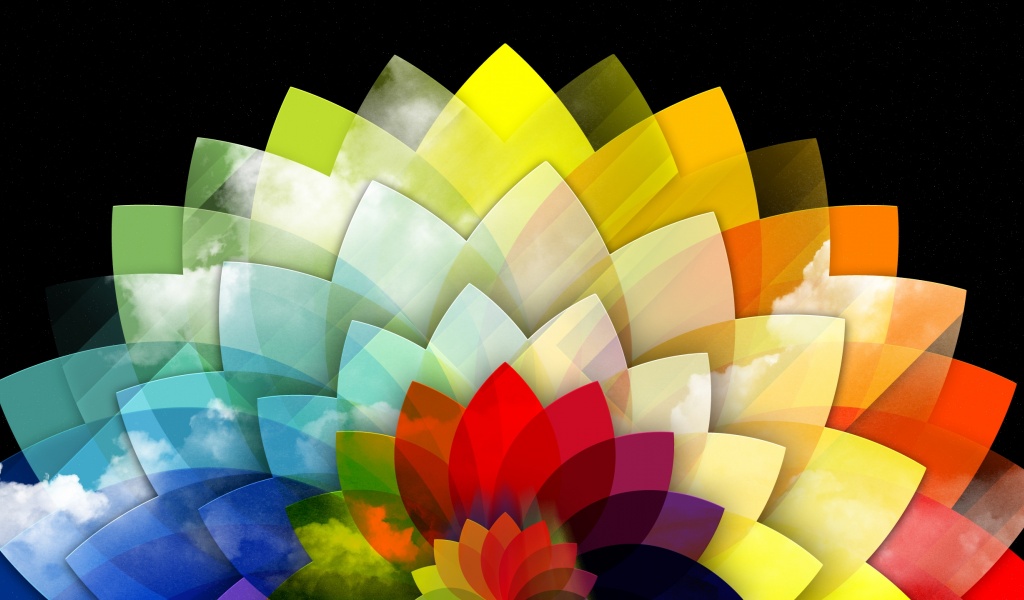 Digital Art Multicolored Flower