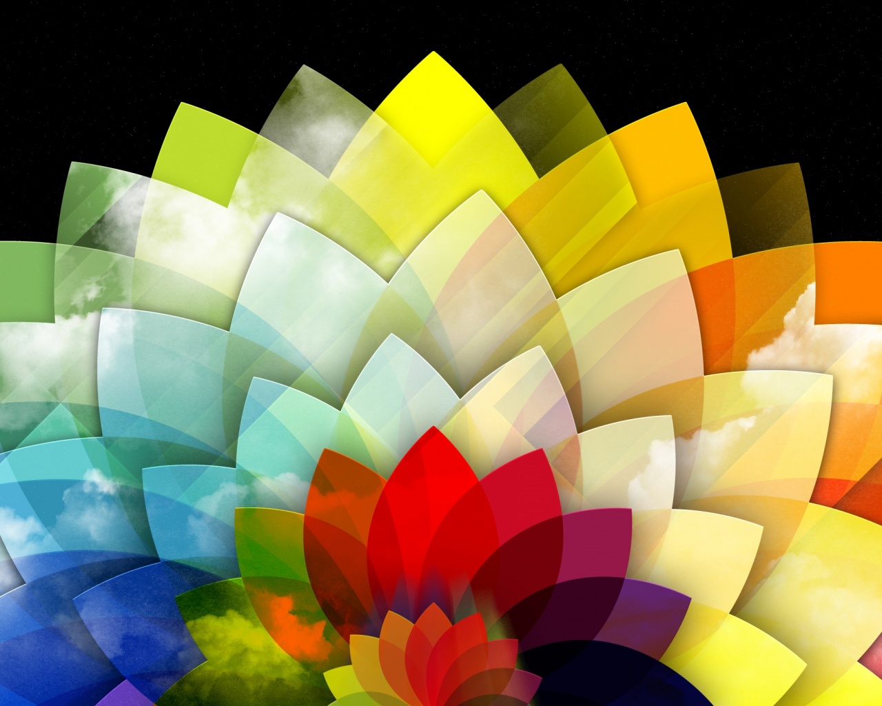 Digital Art Multicolored Flower