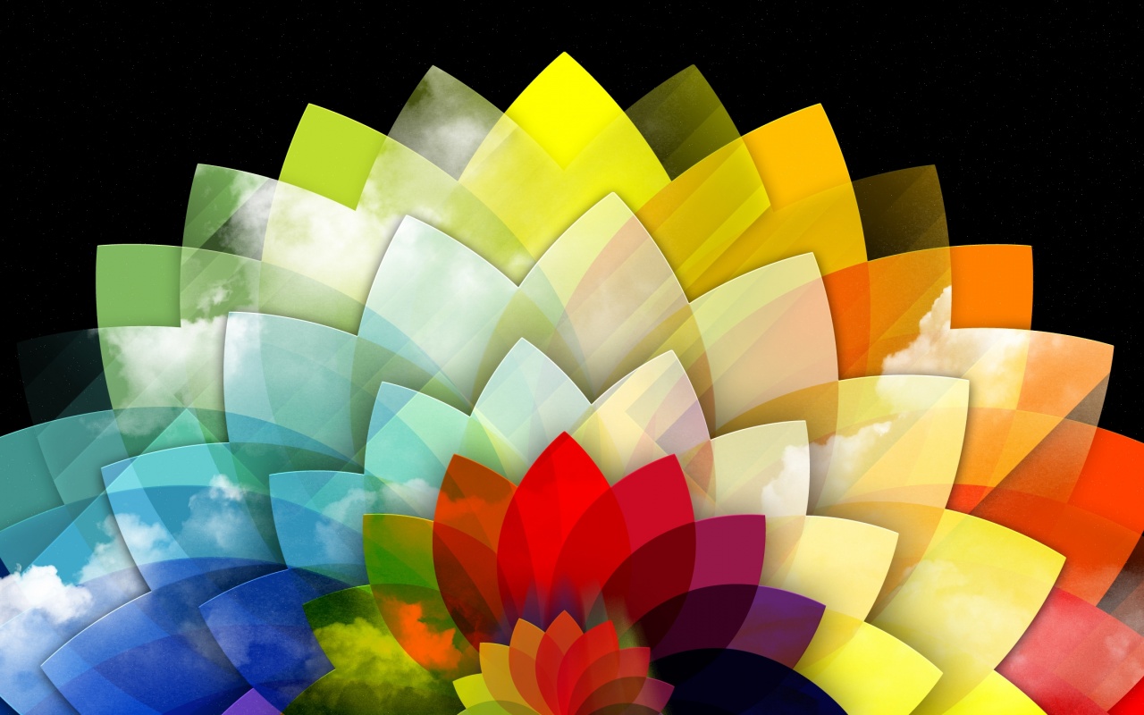 Digital Art Multicolored Flower