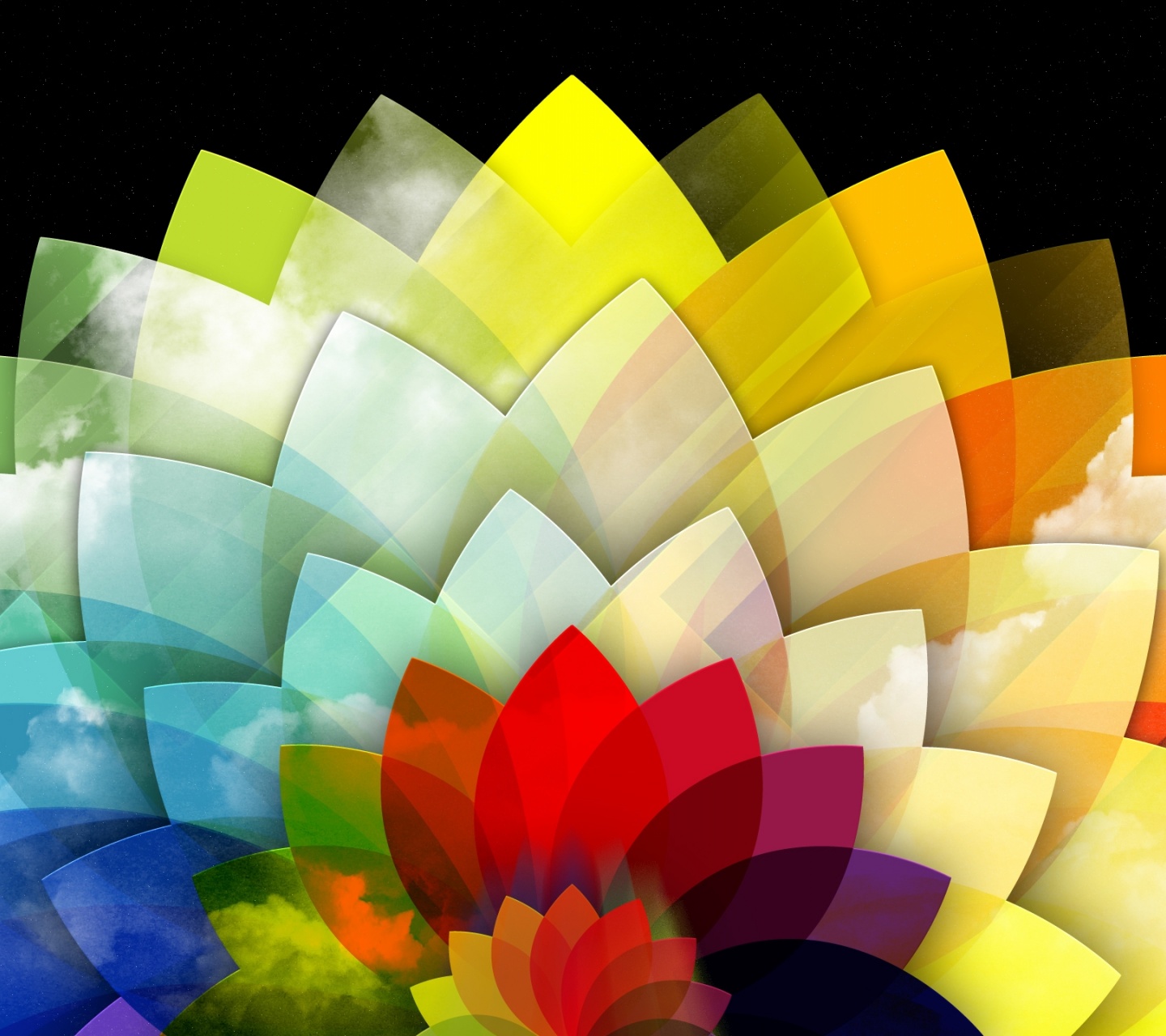 Digital Art Multicolored Flower