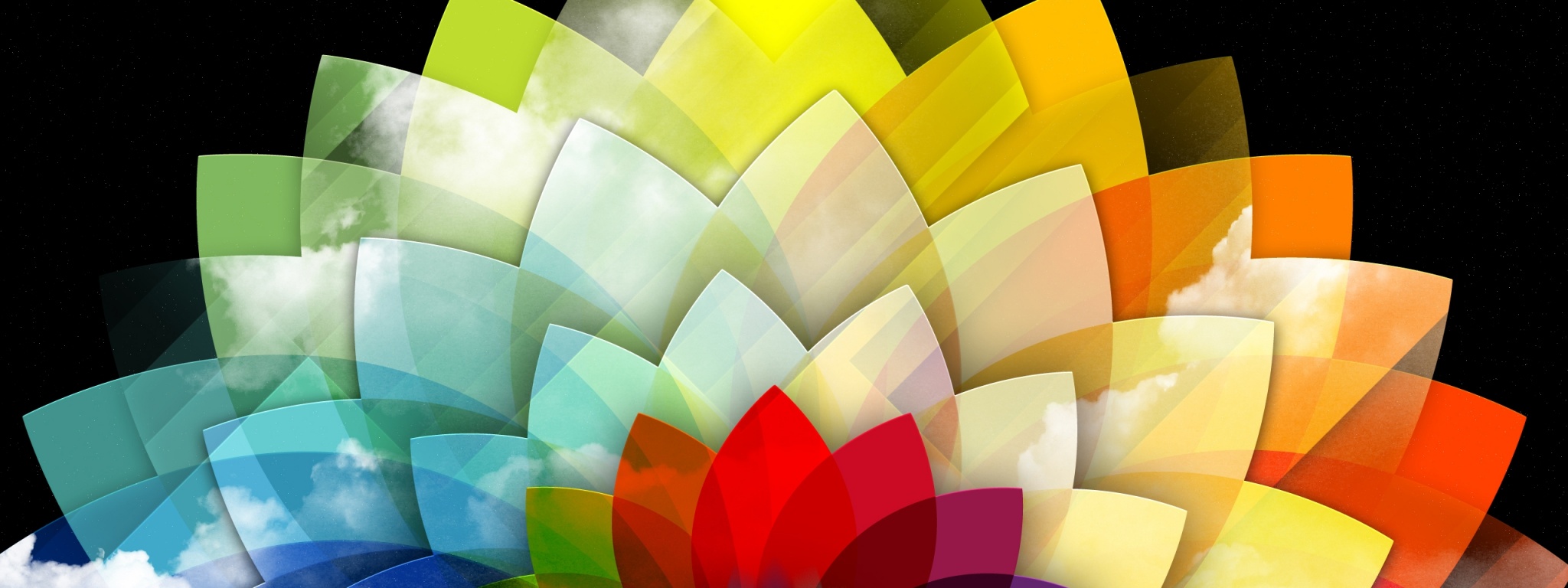 Digital Art Multicolored Flower