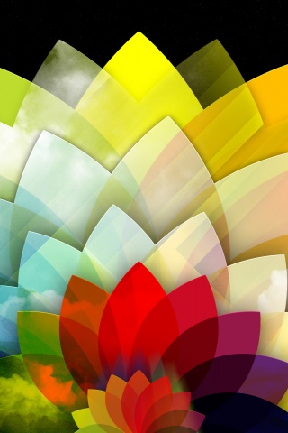 Digital Art Multicolored Flower