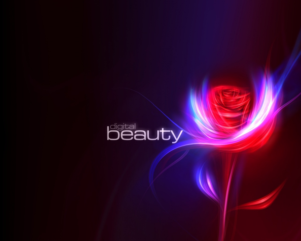 Digital Beauty