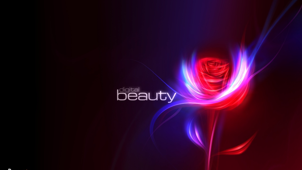 Digital Beauty