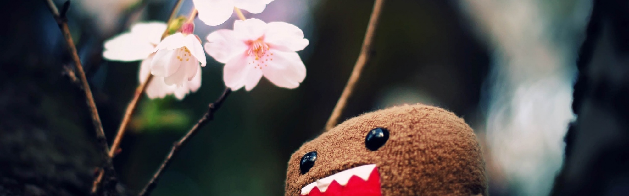 Domo Kun And Tree Blossoms