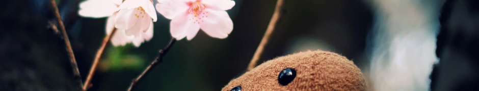 Domo Kun And Tree Blossoms