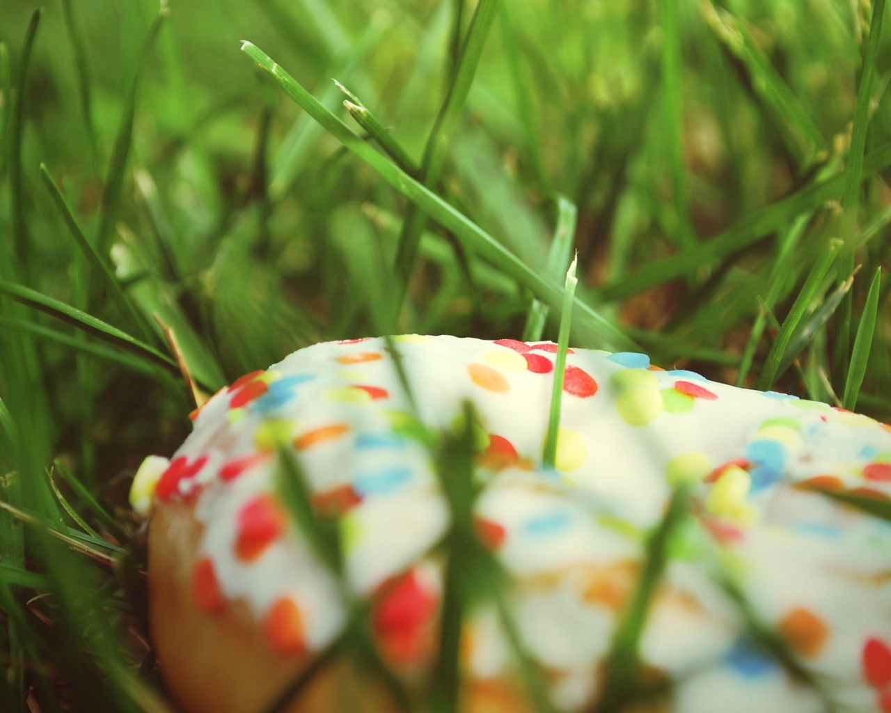 Donut In The Grass