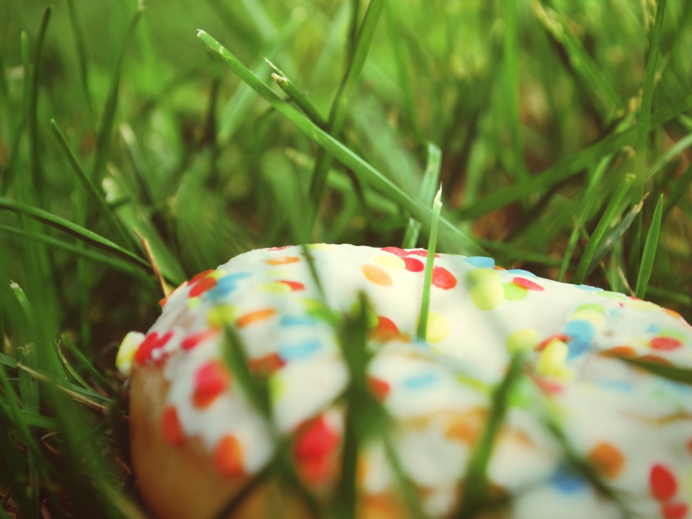 Donut In The Grass