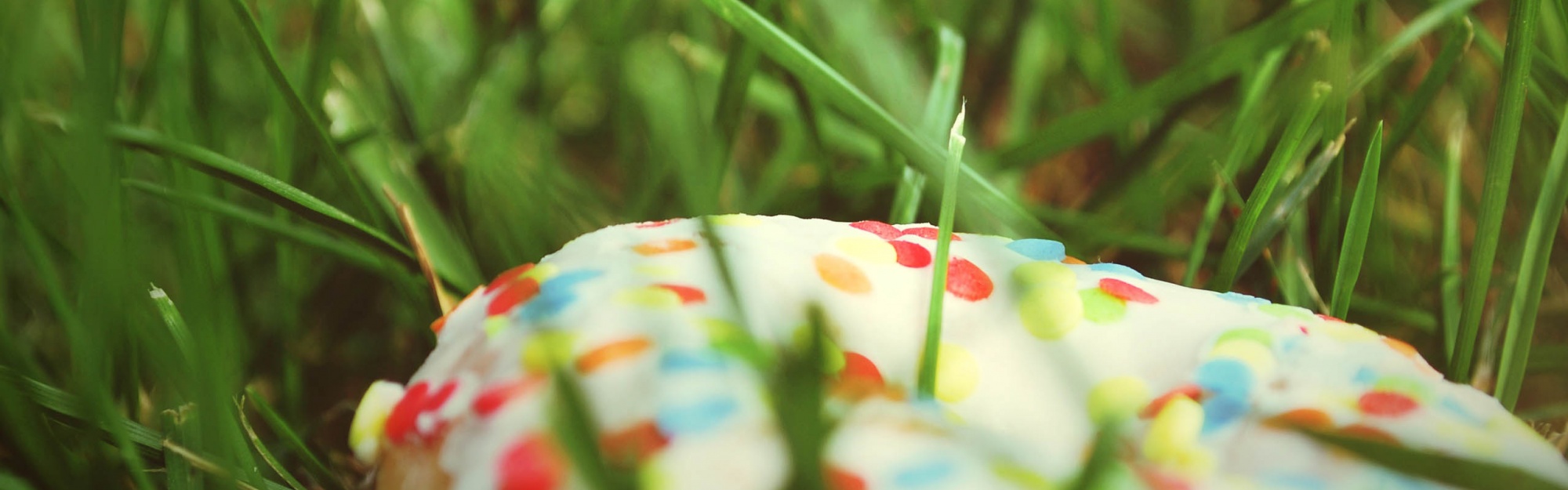 Donut In The Grass