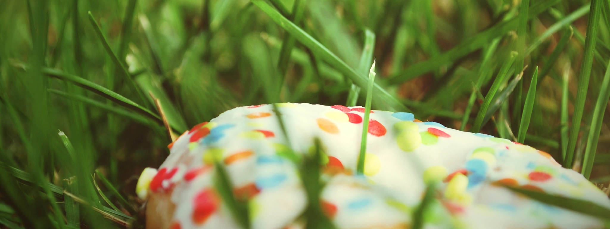 Donut In The Grass