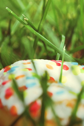 Donut In The Grass