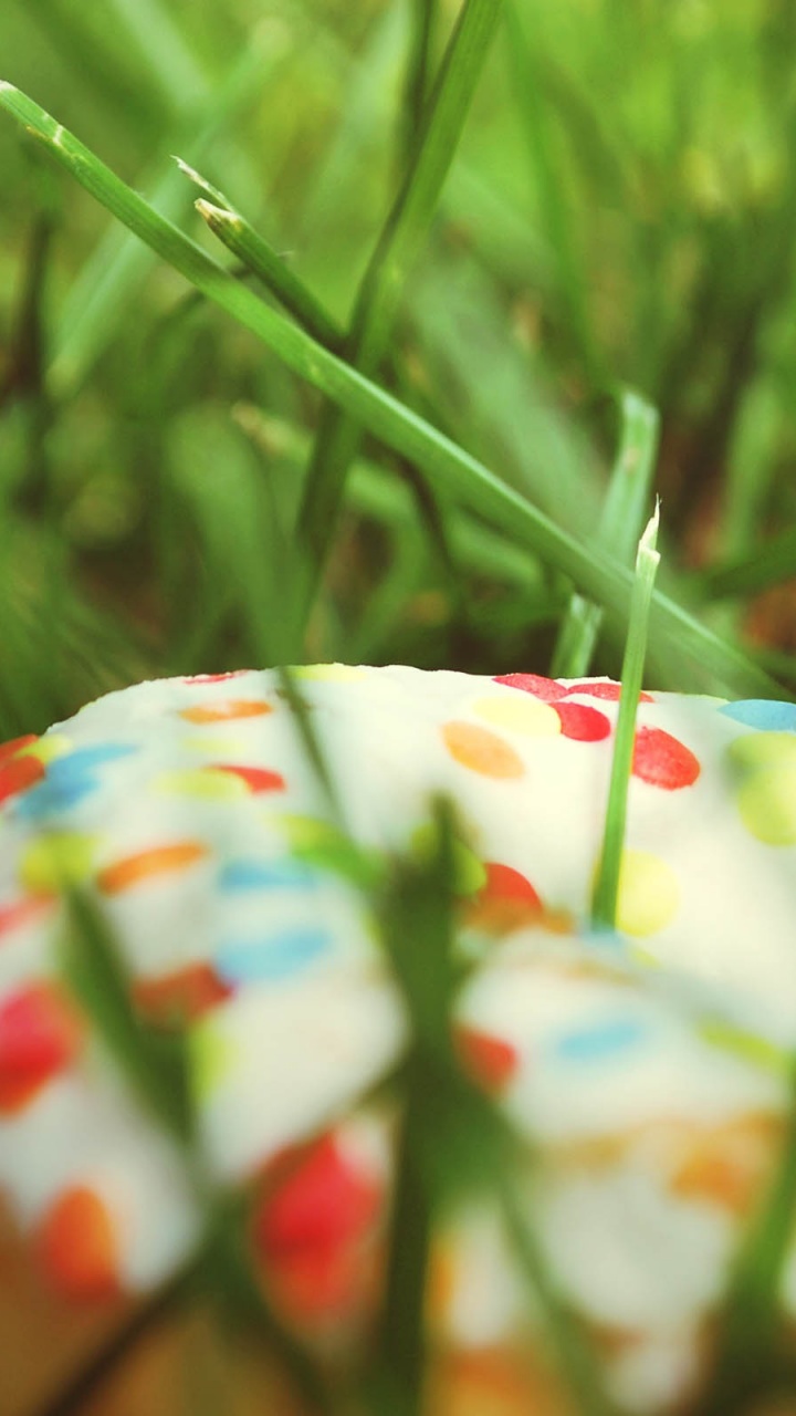 Donut In The Grass