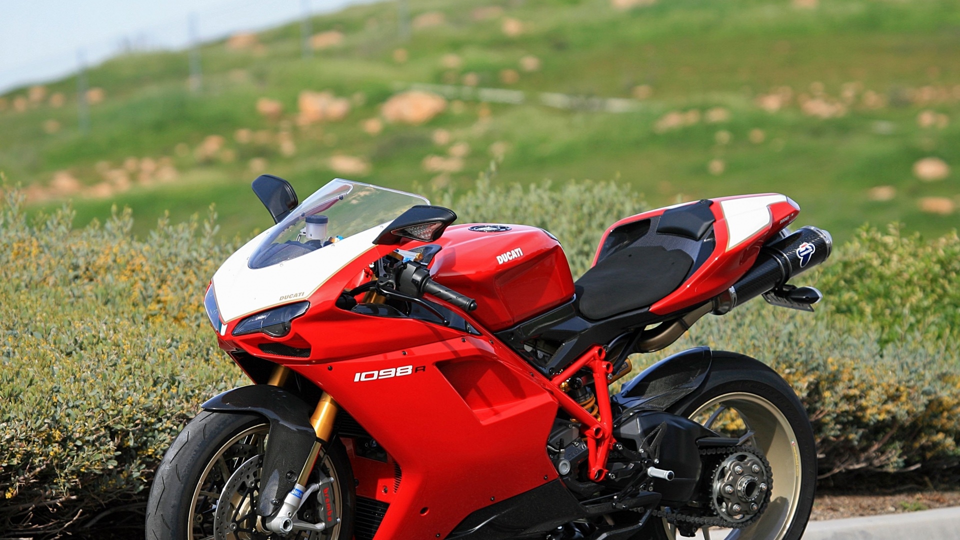 Ducati Vehicles Motorcycles