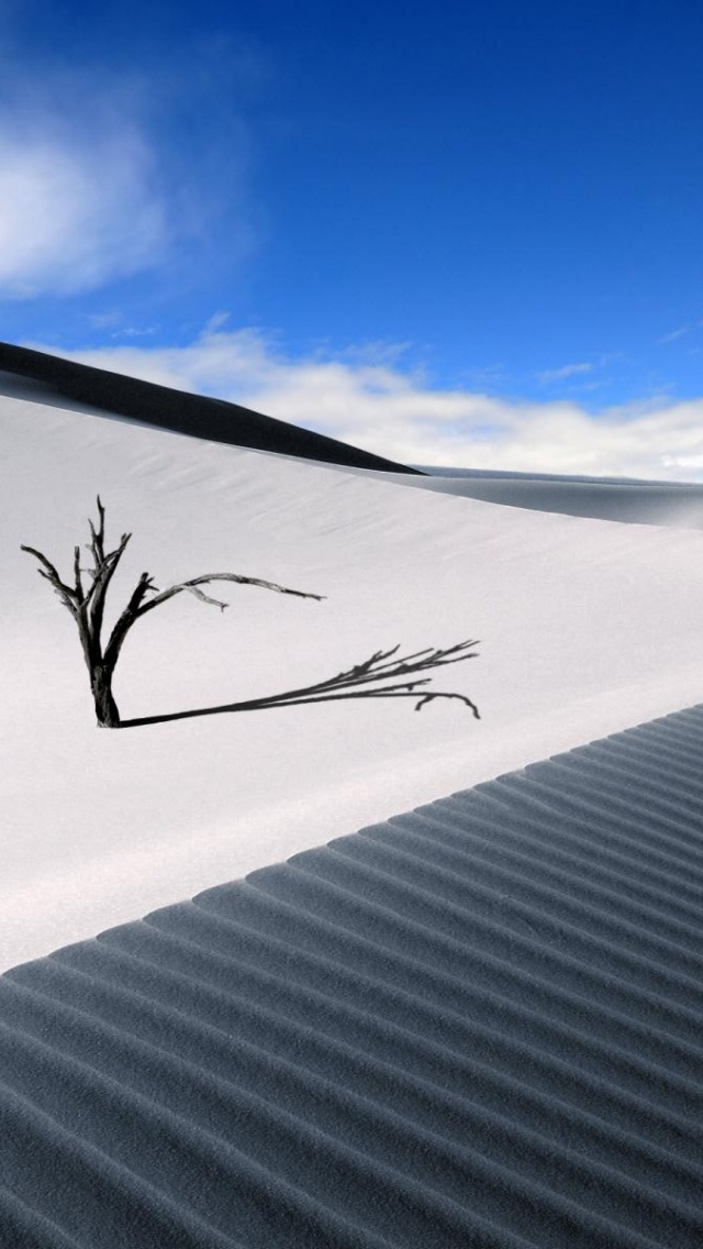 Dune Dead Wood Sand Barren Desert