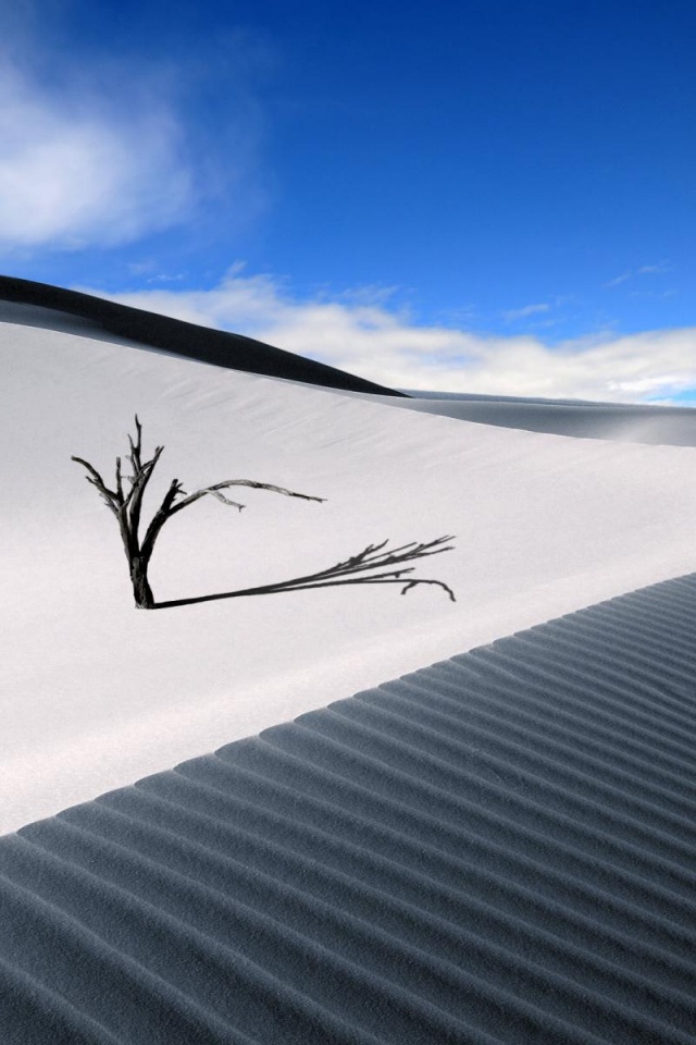 Dune Dead Wood Sand Barren Desert