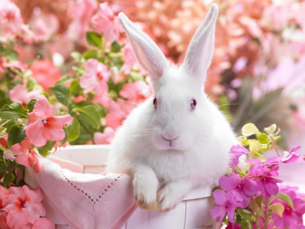 Easter Bunny Holiday Wallpaper