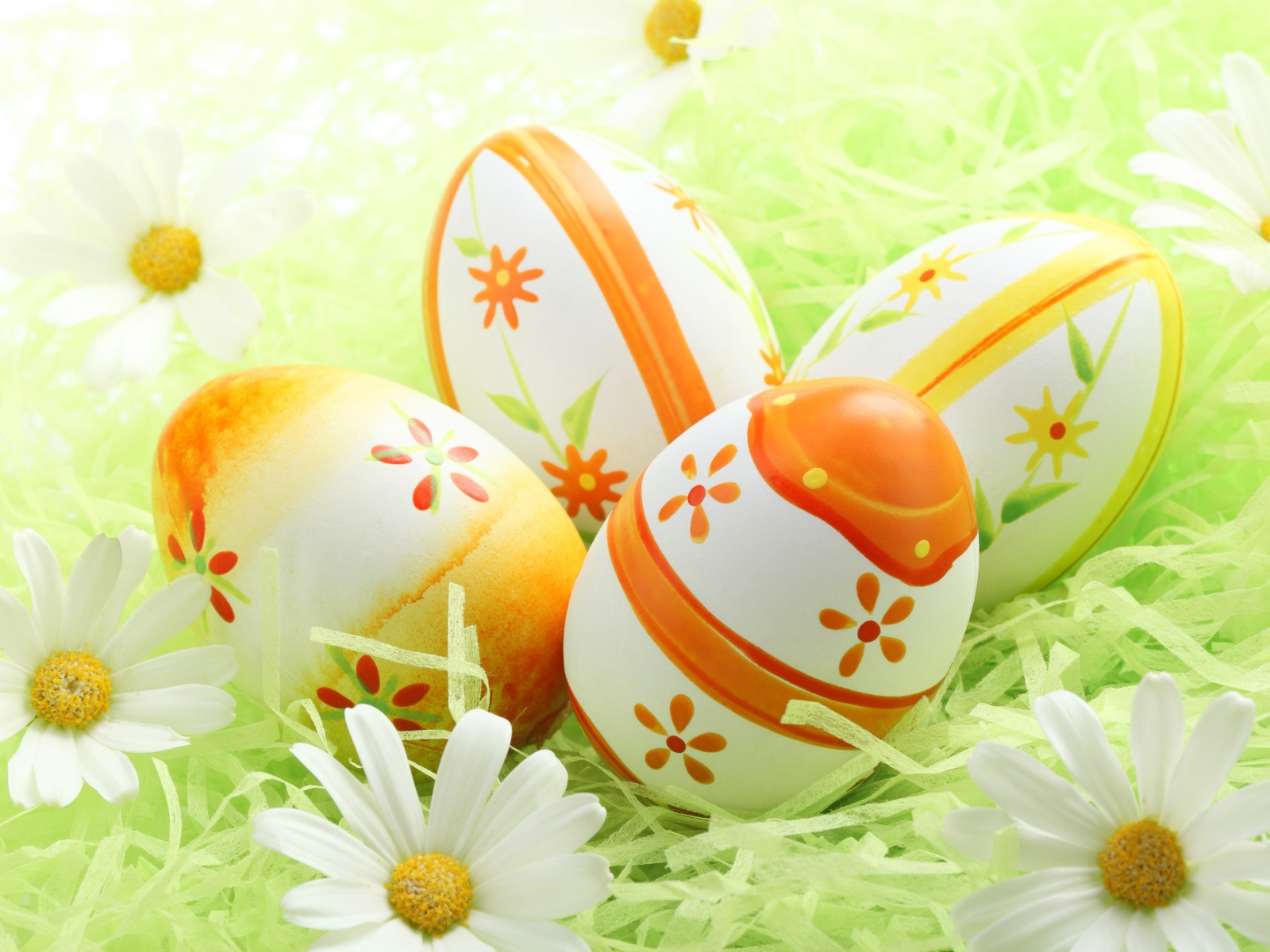 Easter Eggs Among The Daisies