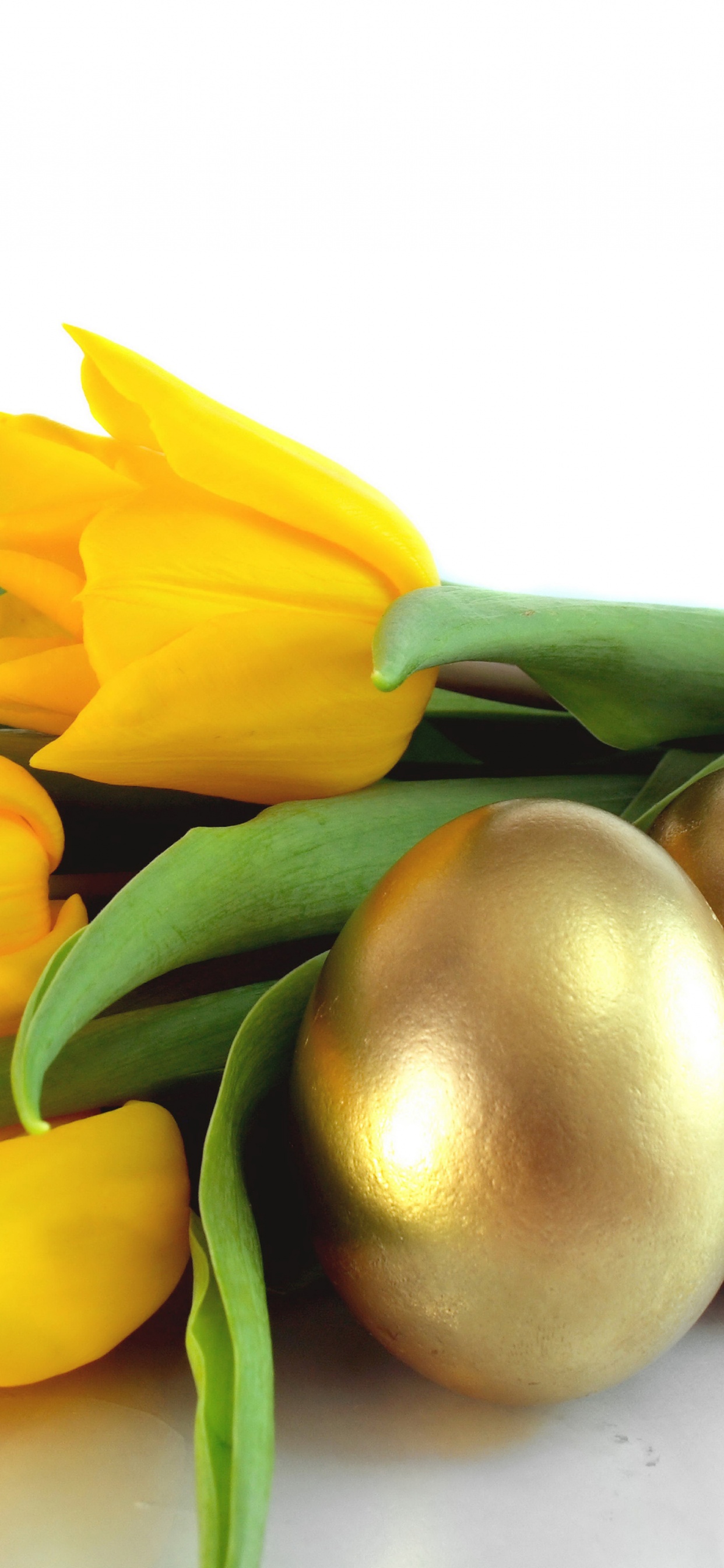 Easter Eggs And Yellow Tulips