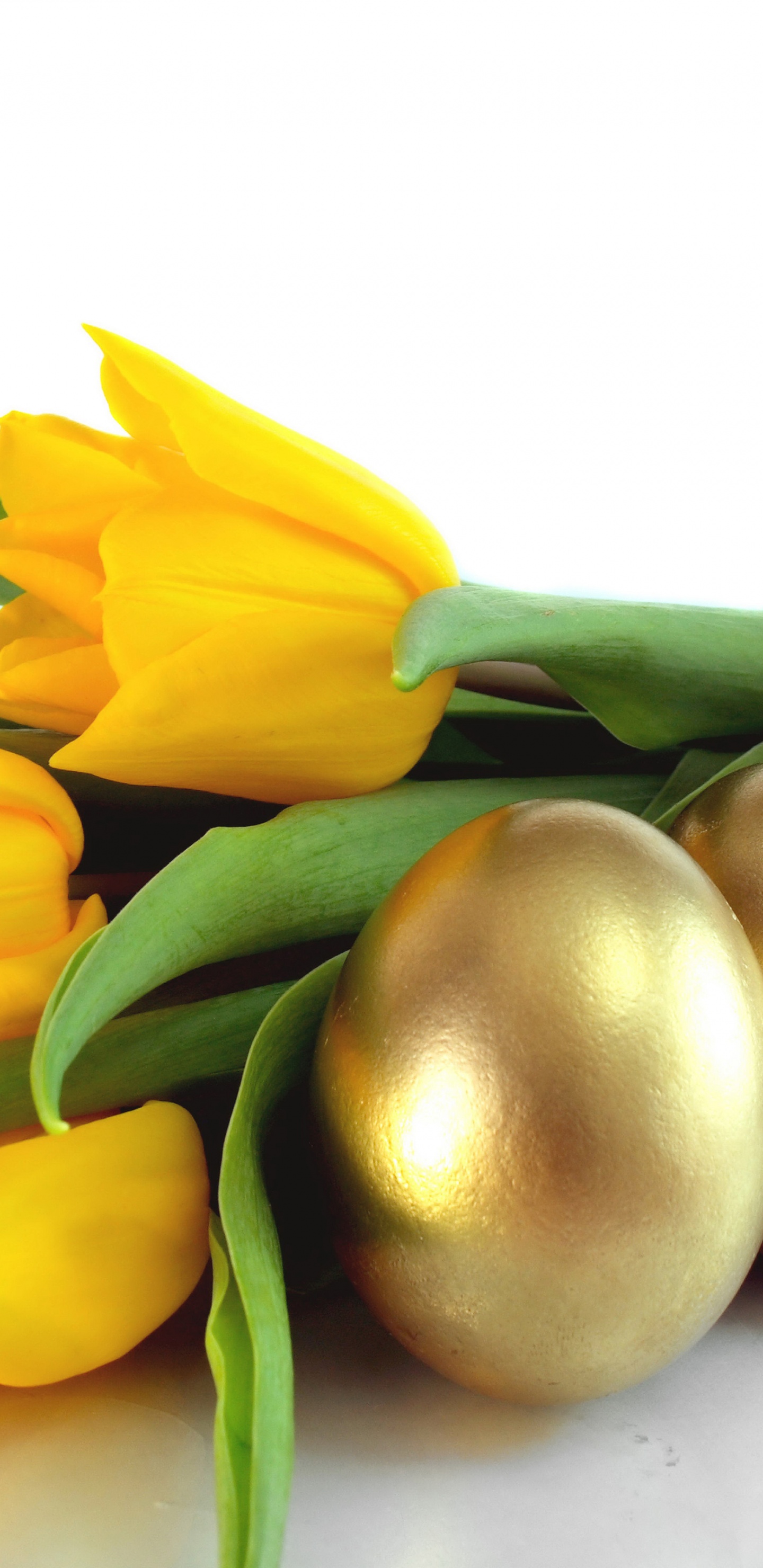 Easter Eggs And Yellow Tulips