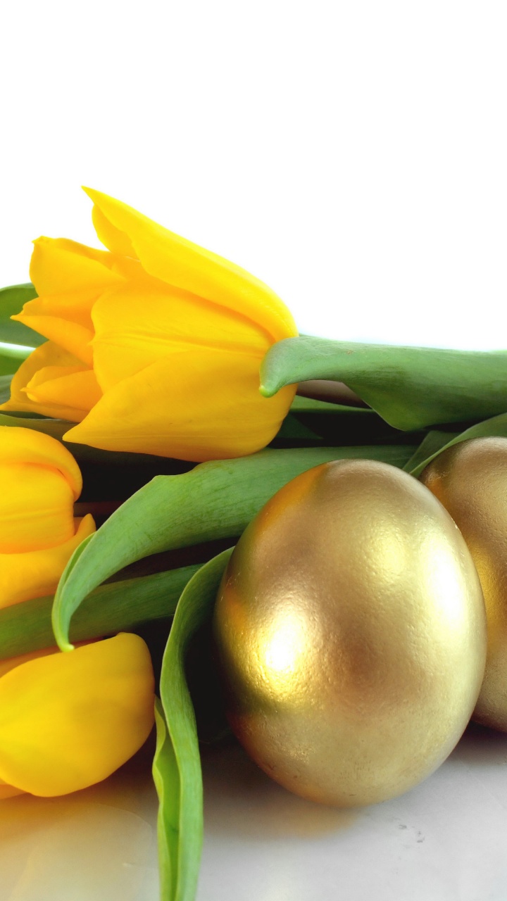 Easter Eggs And Yellow Tulips