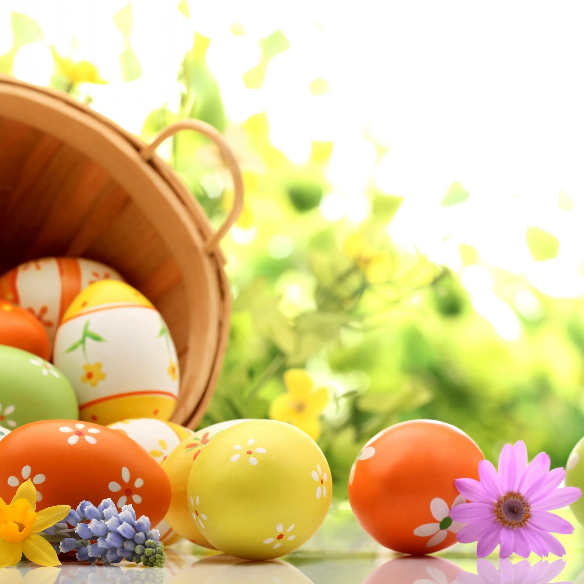 Easter Eggs Spring Wallpaper