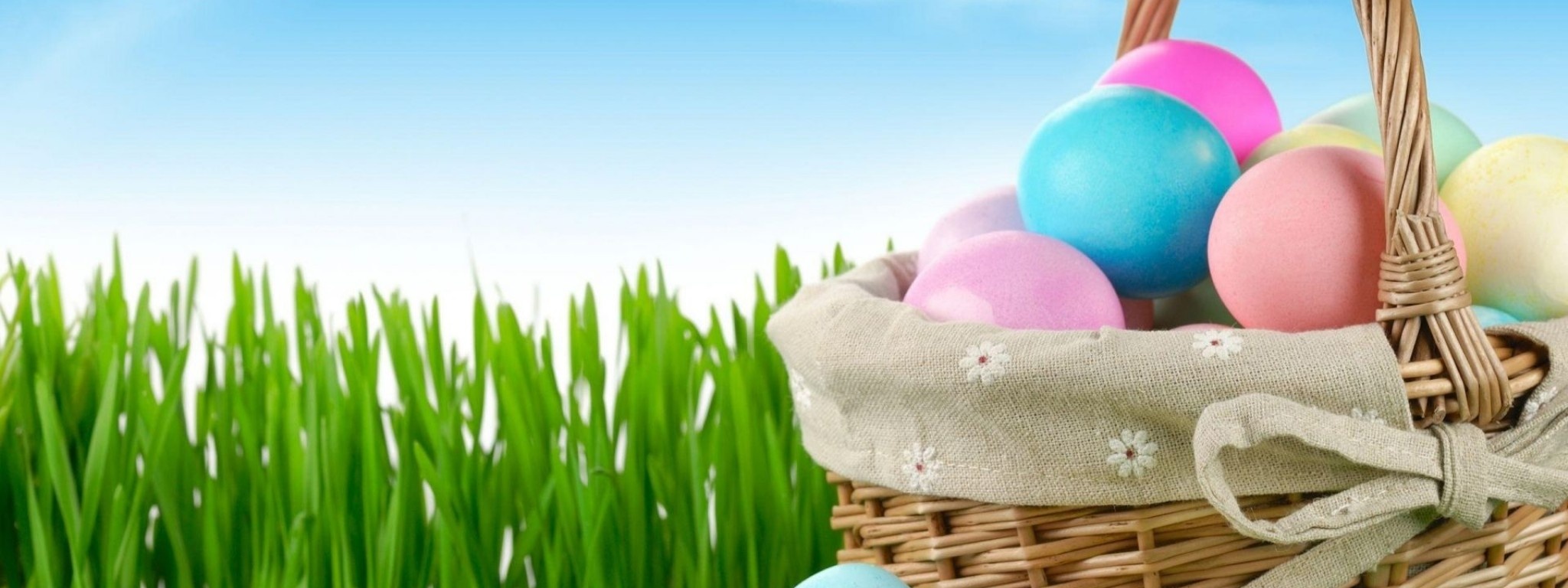 Easter Holiday Eggs Basket Flowers Grass Herbs