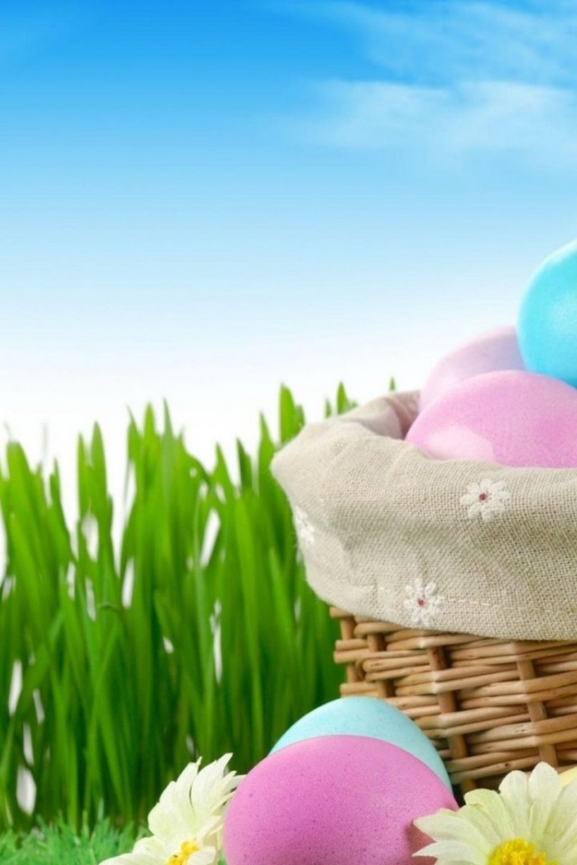 Easter Holiday Eggs Basket Flowers Grass Herbs