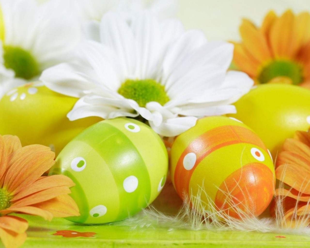 Easter Holiday Eggs Flowers Feather