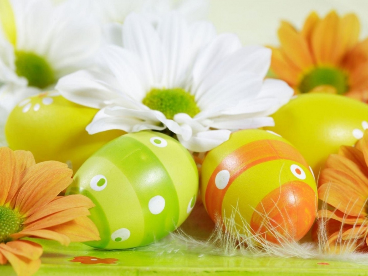 Easter Holiday Eggs Flowers Feather