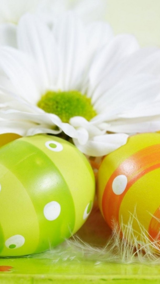 Easter Holiday Eggs Flowers Feather