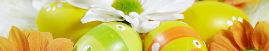 Easter Holiday Eggs Flowers Feather