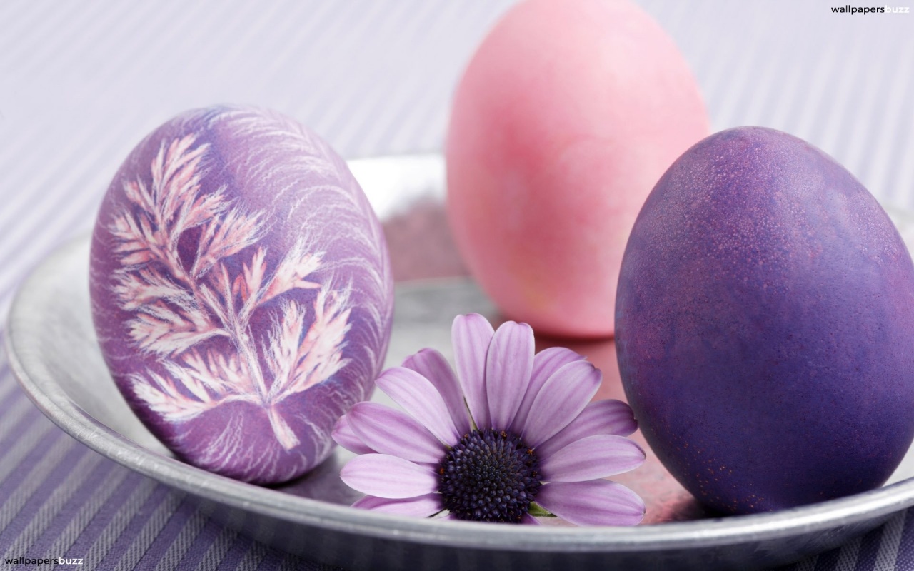 Easter Search Purple Three Image Wallpaper