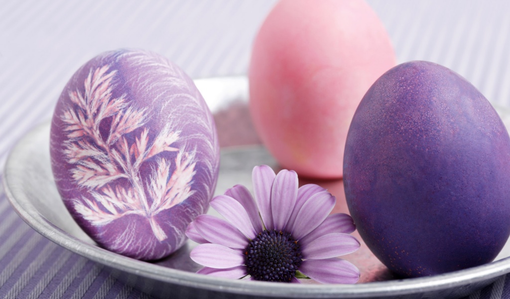 Eggs And A Mauve Flower