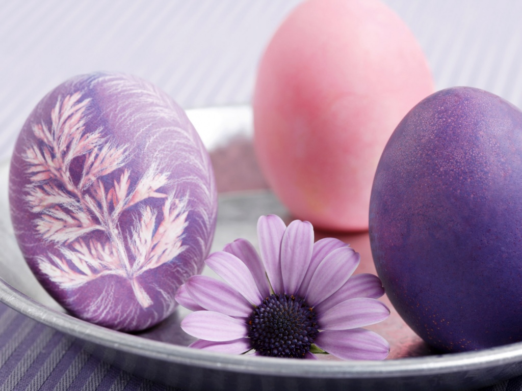 Eggs And A Mauve Flower