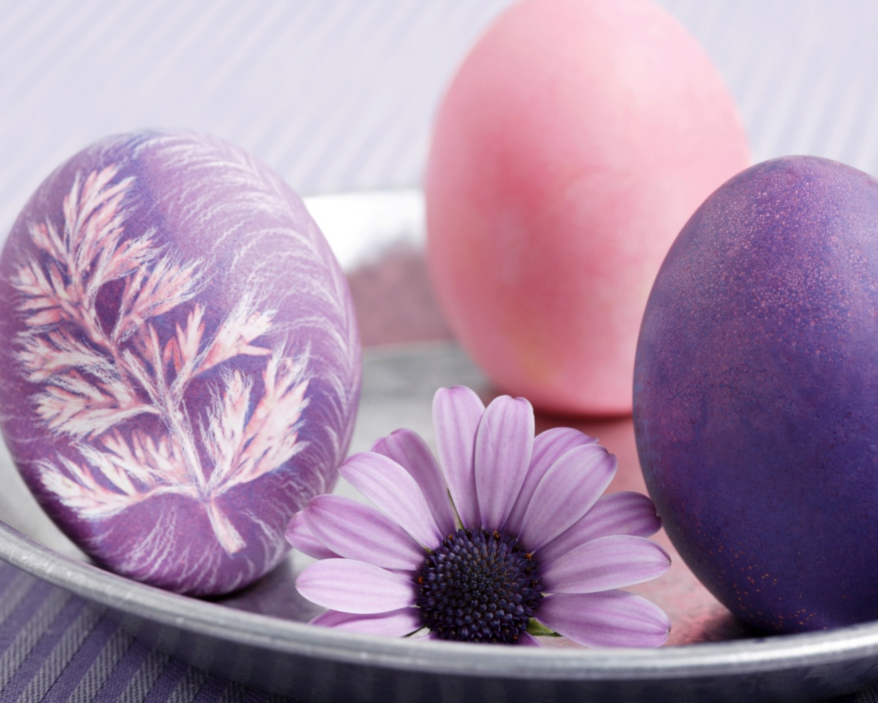 Eggs And A Mauve Flower