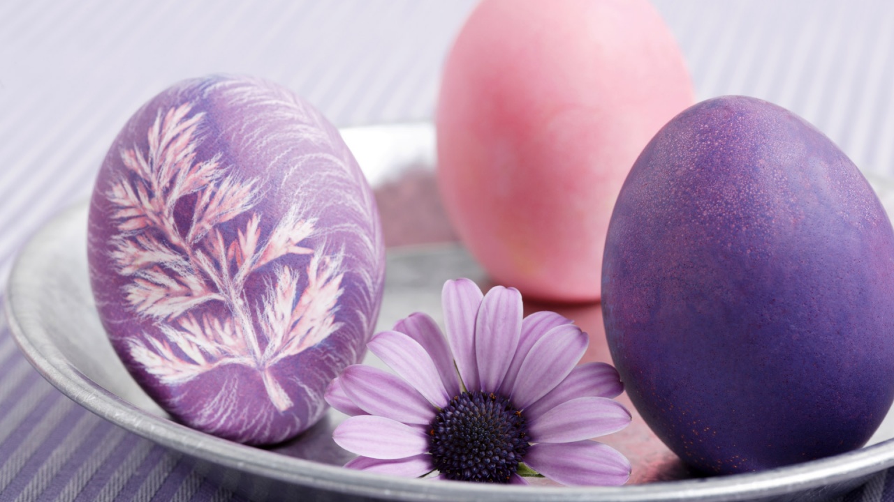 Eggs And A Mauve Flower